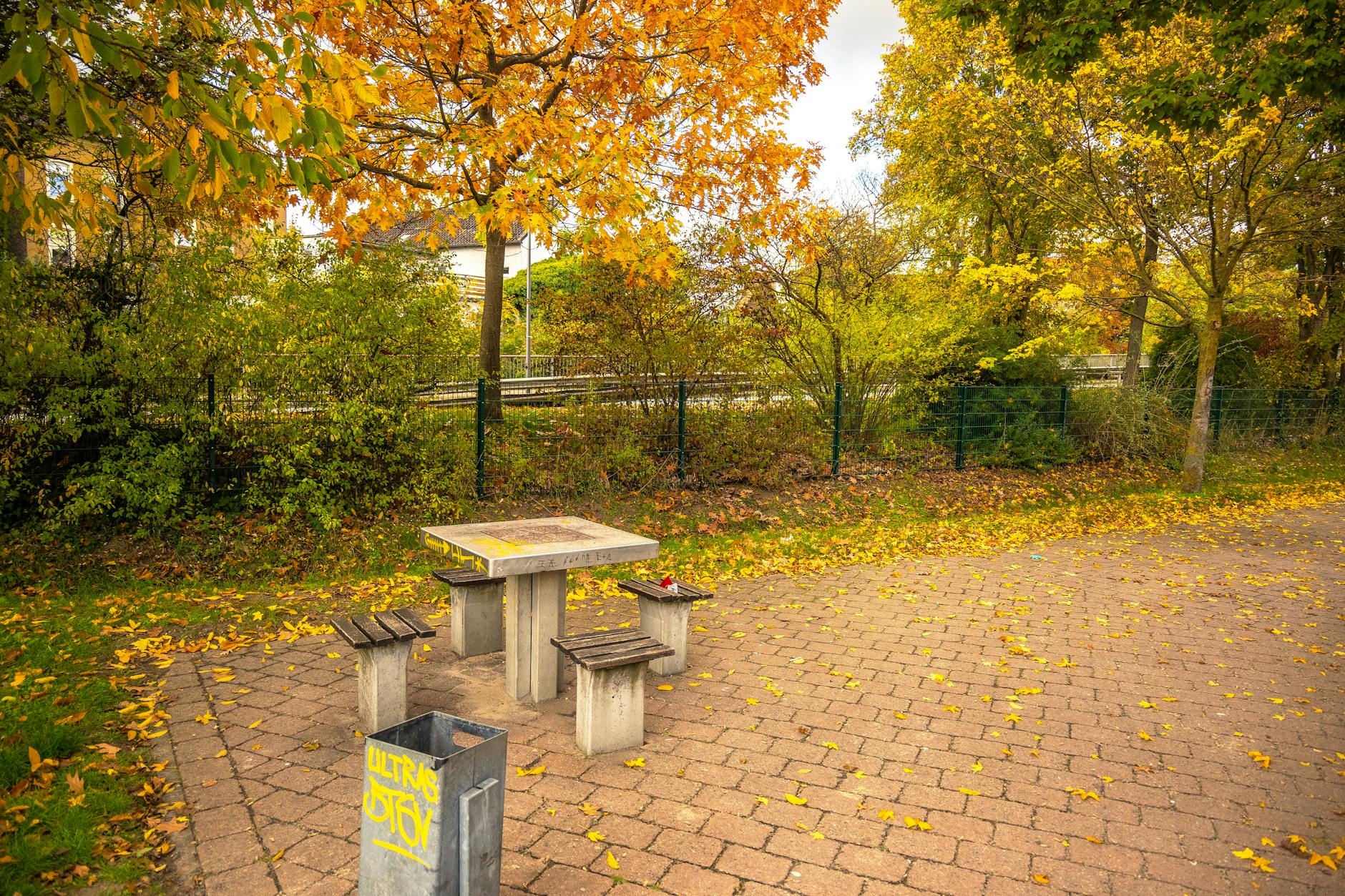 Kulturelle Highlights im Herbst: Museen, Lesungen und Events, die man nicht verpassen sollte